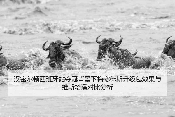 han-mi-er-dun-xi-ban-ya-zhan-duo-guan-bei-jing-xia-mei-sai-de-si-sheng-ji-bao-xiao-guo-yu-wei-si-ta-pan-dui-bi-fen-xi-3-279.jpg