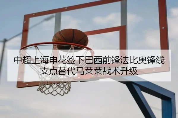 中超上海申花签下巴西前锋法比奥锋线支点替代马莱莱战术升级